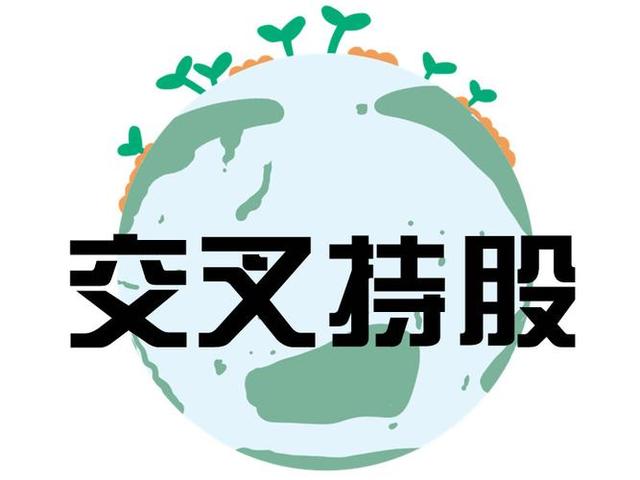 交叉持股安排设计(交叉持股怎么计算持股比例)吉林市